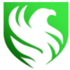 Team Falcons